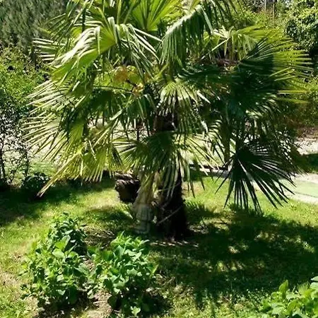 Kaltur Boutique ヤロヴァ